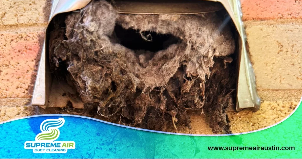 An image that shows clogged dryer vents from a customer's home.