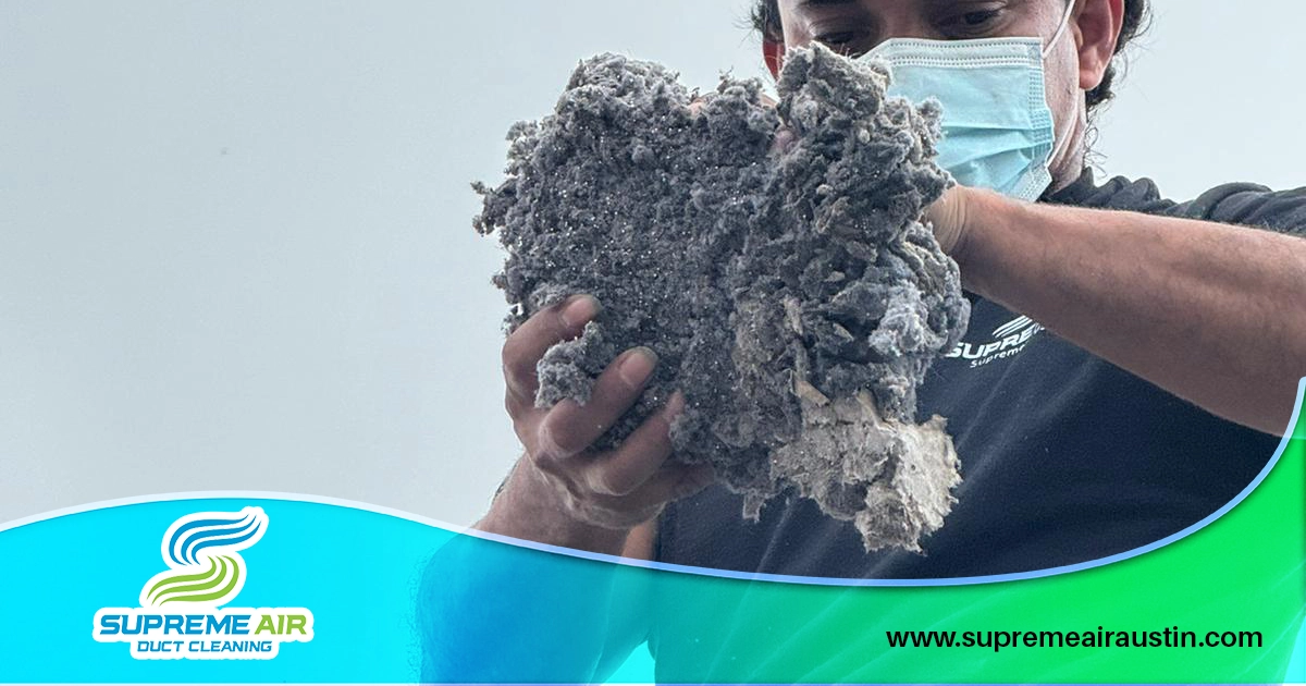 An image shows a technician holding a pile of dust and mold gathered from a customer's dryer vents.