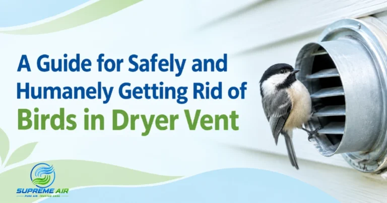 birds in dryer vent