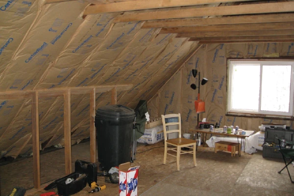 Attic issues