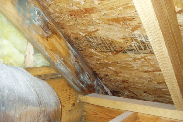 Humidity and mold