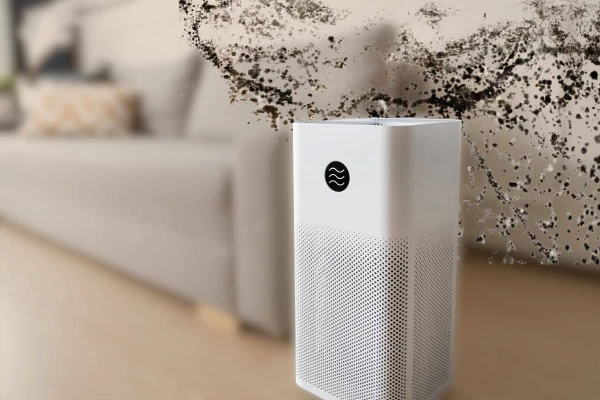 Mold Humidity