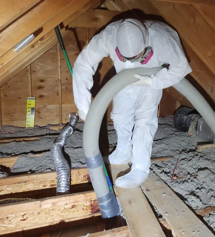 Attic removal process