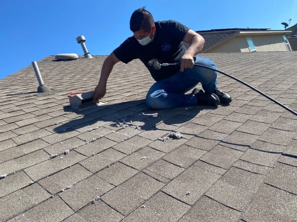 dryer vent cleaning