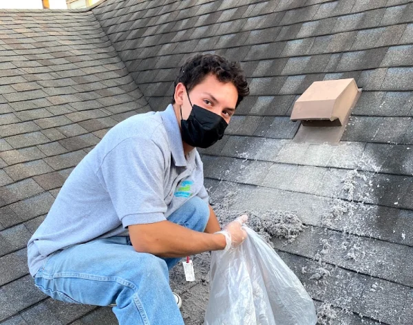 dryer vent cleaning