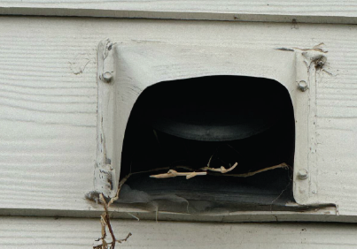dryer vent cleaning in austin